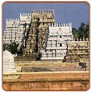 Srirangam Temple, Trichy  Travels