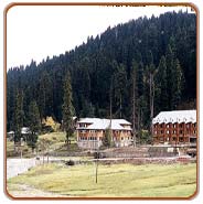 Gulmarg, Srinagar Holiday Vacations