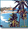 Spice Tour ( 8 Nights / 9 Days )
