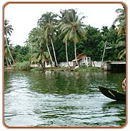 Backwater, Alleppey Tours