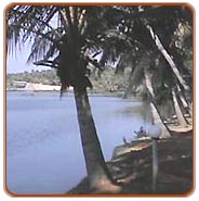 Beach, Alleppey Holiday Vacations