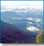 Amazing Kerala 