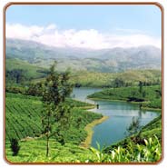 Backwater, Munnar Tours 