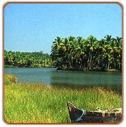Cochin Backwater, Cochin Holiday Vacations