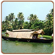 Backwaters, Kerala Vacations