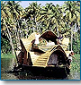 Backwaters & Houseboat Tour