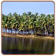 Backwaters, Alleppey Vacations