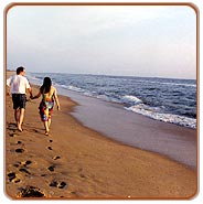 Tropical Beach Tour
