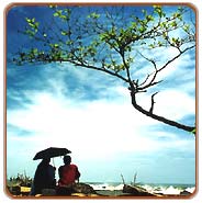 Beach, Alleppey Travels