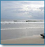 Best of Kerala Tour in 7days