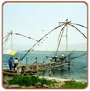 Chinese Fishing Nets, Cochin Tourism