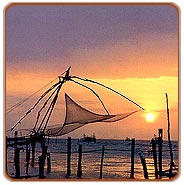 Fishing Net, Cochin Travel Guide