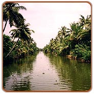 Cochin Backwater, Cochin Tourism