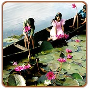 Cochin Backwater, Cochin Tourism