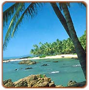 Coconut Grove, Kerala Travels