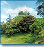 Enchanting Kerala Tour