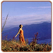 Kerala Green Magic Holidays