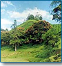 Heavenly Above Kerala of India