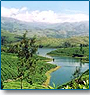 Splendor Tour of Kerala