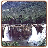 Waterfall, Waynadu Holiday Vacations