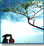 Honeymoon Tour in God's Own Country