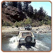 Jeep Safari, Waynadu Tours & Travels