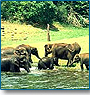 Complete Thrill - Backwaters & Wildlife