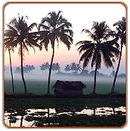 Kerala, The Land of Coco Trees Tour