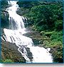Exotic Kerala Tour 