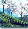 9 Days Hill & Backwater Packages