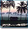 Kerala - The Land of Coco Trees