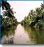 Kerala & Karnataka Tour