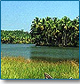 Kerala Rejuvenation Tours