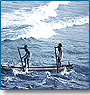 Kerala Sea & Spice Tour