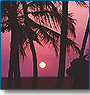 Journey Through Kerala 