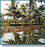 Kerala Backwater Holidays