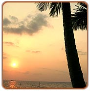 Kochi Backwater, Kochi Tourism