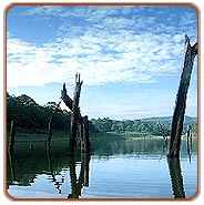 Lake Periyar, Periyar Tourism