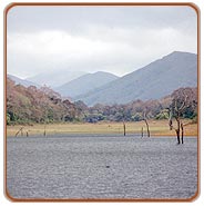 Periyar Lake, Periyar Travel Vacations