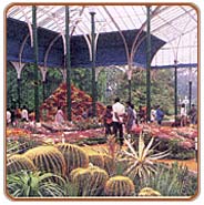 Lal Bagh, Bangalore Vacations