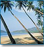 Kerala Tourism Great Getaway Packages 