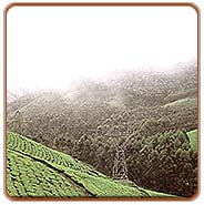 Cloud Covered hills, Munnar Vacations