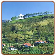 Hill Station, Munnar Vacations