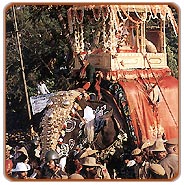 Mysore Cultural Tour