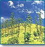 Nature Tour of Kerala 