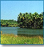 Plantations & Backwaters of Kerala
