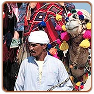 Pushkar Fair, Pushkar Tourism
