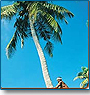 Coconut & Spice Tour of Kerala