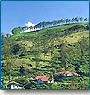 Tea Cities of India - Kerala