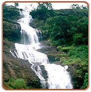 Water Fall Thiruvananthapuram Tourism